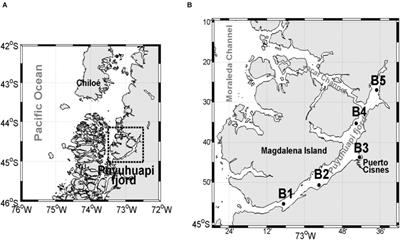 Feeding of Aulacomya atra Under Different Organic Matter Sources (Autochthonous and Allochthonous) in a Chilean Patagonia Fjord Ecosystem